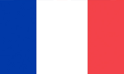 Antrag auf Modellzulassung Französisch Français